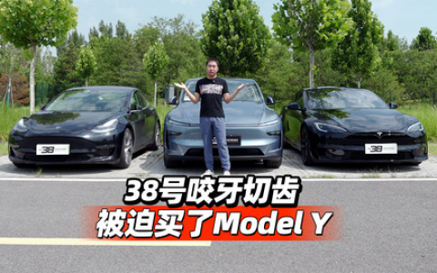 【新品未使用 アルチビオ】38号 爱媛38号-柑橘种苗-湖南省三国园艺有限公司